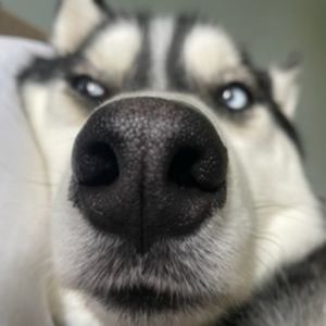 Meet your Posher, Riri